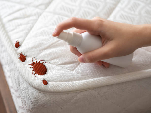 Emergency Pest Control Services in Davidson, NC